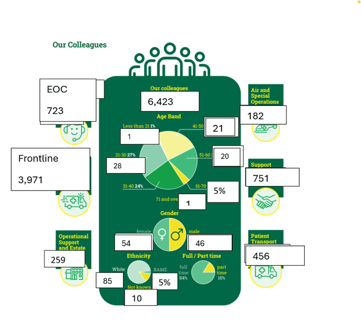 Summary of the total number of colleagues, including their type of role and basic demographics. 