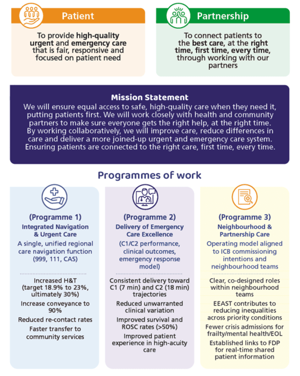A structured infographic presenting a healthcare strategy organised into sections.