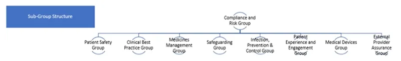 sub group structure chart